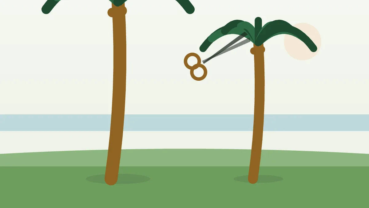 Ilustración de una palmera canaria en un jardín mediterráneo