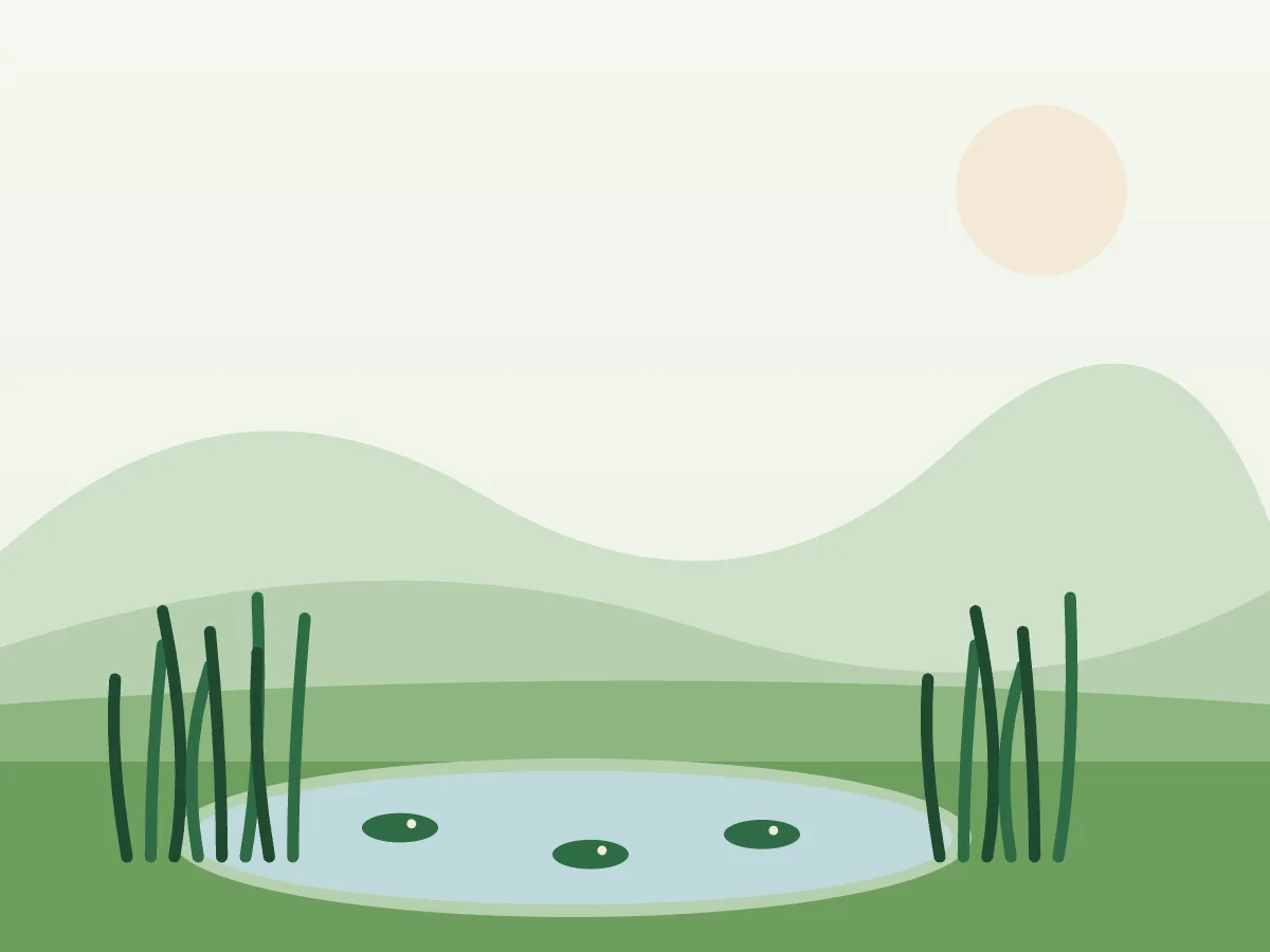 Ilustración de una piscina natural con zona de baño y orilla de plantas acuáticas en un jardín