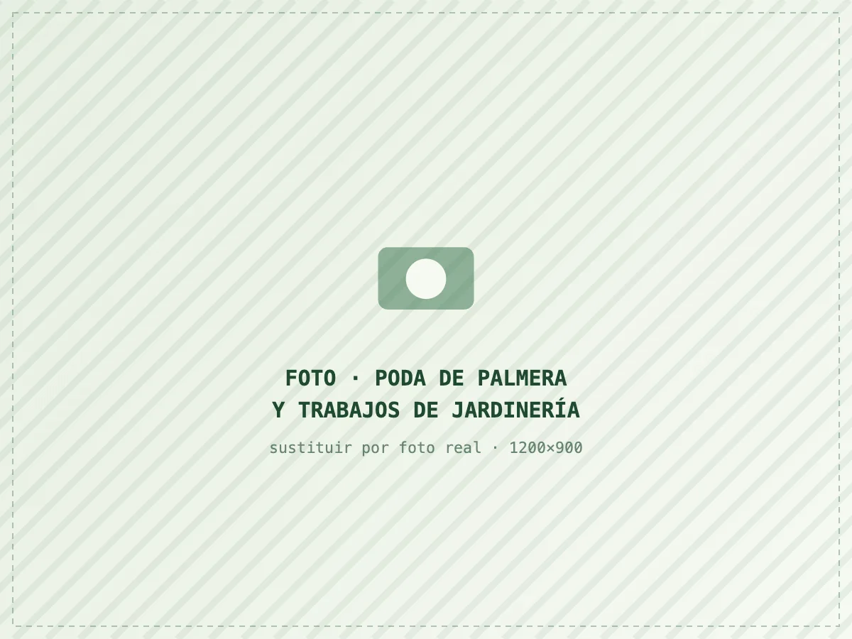 Jardinero de Jardinero Badalona podando una palmera con equipo de trepa en Badalona