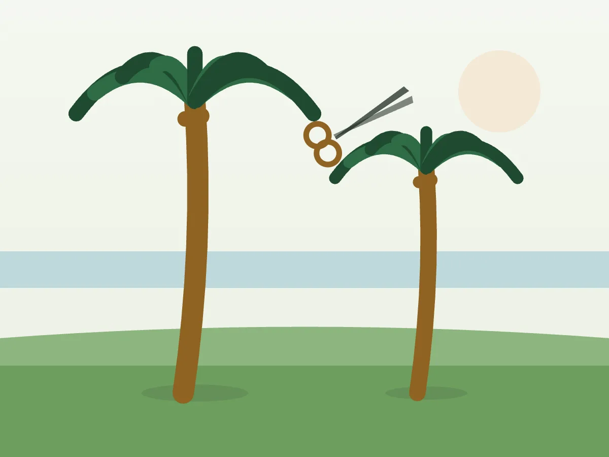 Ilustración de una palmera canaria recién podada en un jardín cerca del mar